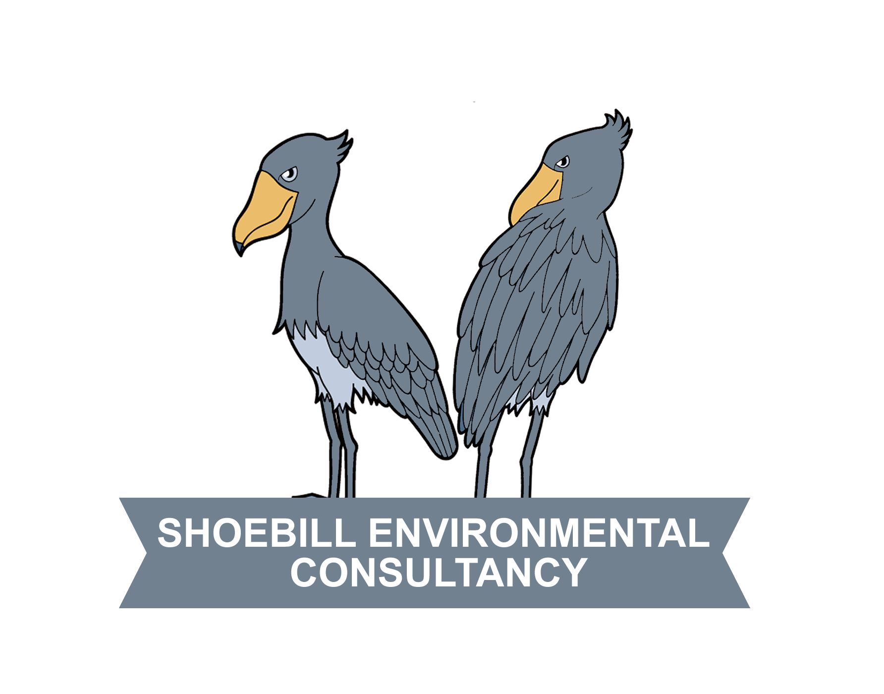 Shoebills Consultancy